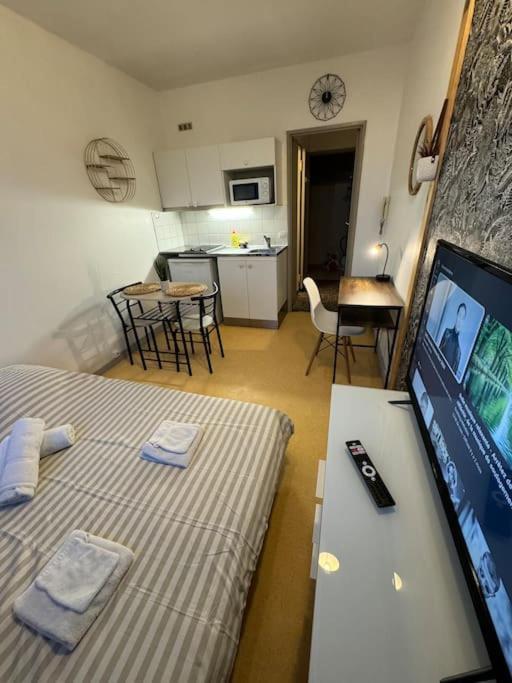 Joli Studio Au Coeur De Valence 41 Екстер'єр фото